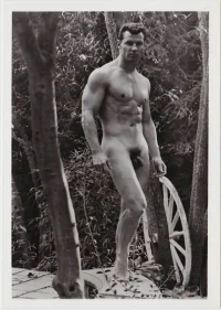 c.ss.adonis2.colt_864x1216.webp