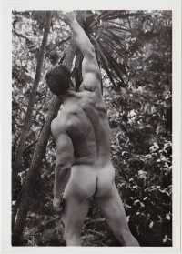 c.ss.adonis3.colt_864x1216GeorgeO´Mara.webp