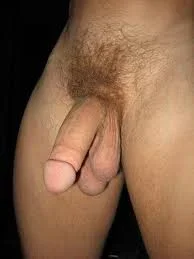 imagesLAQNNLLL.webp