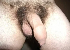 uncircumcised-penis.webp