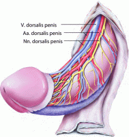 313759_0_De_134-1_Fig4_HTML.gif 313759_0_De_134-1_Fig4_HTML.gif