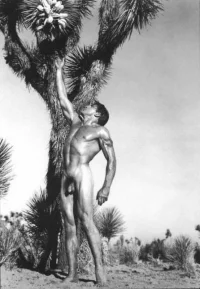 John Winship 005.webp