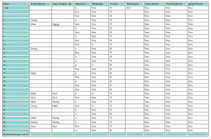 Juli Trainingslog 2019.webp