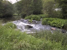 test-020a.webp