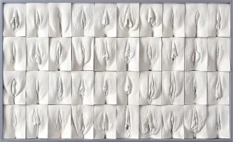 00000vagina.webp