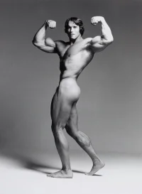 schwarzenegger-nackt.webp