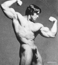Arnold-Schwarzenegger-nude_LI.webp