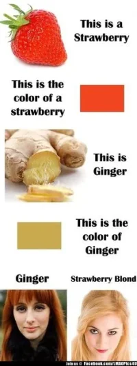 0c74e5a802b33d8cdb7f0a9e9035a94d--ginger-quotes-red-heads.webp
