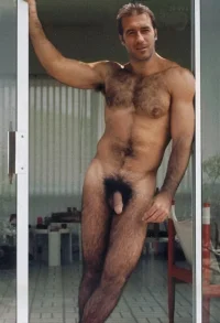 431830.webp