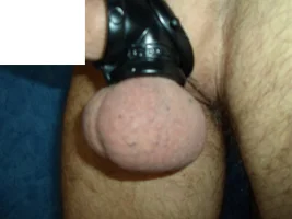 SAM_6212.webp