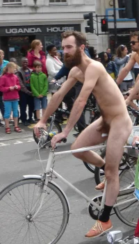 hnag_bearded_2.webp
