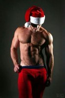 d4bf4c7d56e2ffeeefb0263cae3ca7b1--gay-christmas-christmas-.jpg d4bf4c7d56e2ffeeefb0263cae3ca7b1--gay-christmas-christmas-.jpg