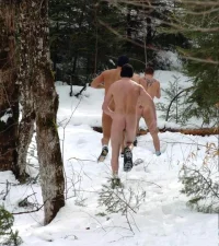 snow03.jpeg.webp