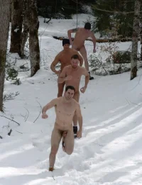 snow04.jpeg.webp