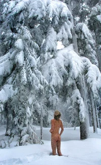 snow-fall.webp