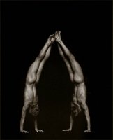 andersonLow_gymnasts1.jpg