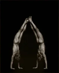 andersonLow_gymnasts1.webp