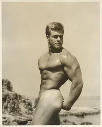 David Martin Bud Counts 001.webp