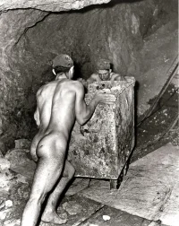miners-poland.webp