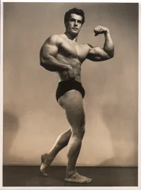 Arax Helmut Riedmeier 009.webp