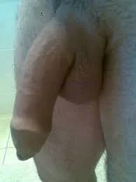 images.webp