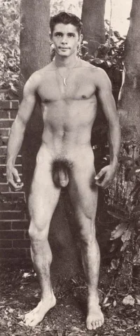Vintage 10186.webp