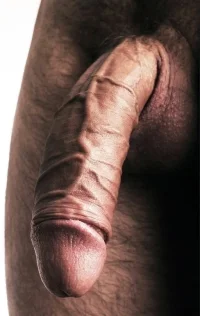 Cock-863.webp