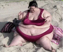PEC-Andere41.webp