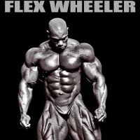 maxresdefault.webp