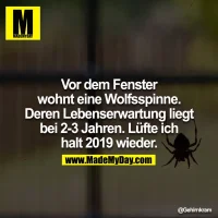 04.webp