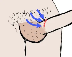 upload_2016-11-5_15-6-40.webp