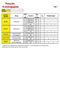 Meso_KM1-Tag1-page-001.webp
