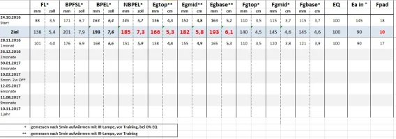 pe.webp