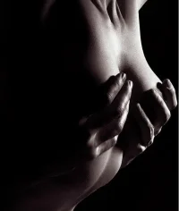 109.webp