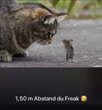 92672262_2181496235330115_6370912873501163520_n.webp