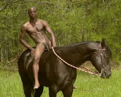 blackhorse.webp