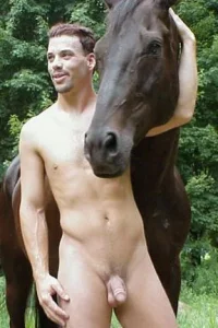 Horse.webp