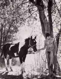 IANB&WPAINTEDHORSE.webp