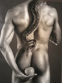 gayfantasy-blogspot.de 01660 (19).webp