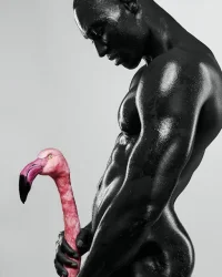 gayfantasy.blogspot.de 01771 (13).webp