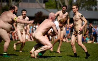 field-of-play7.webp