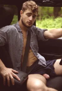 02002 gay boys sex car gayfancy  (46).webp