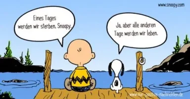 Peanuts.webp