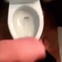PCE.gif
