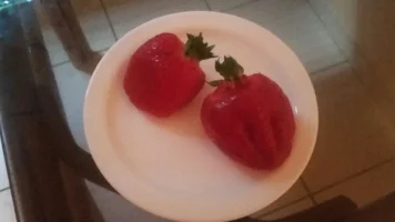 erdbeere2.webp