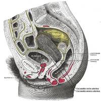 m_1407855272.jpg