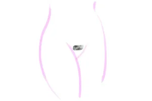 Intimrasur_europ%C3%A4isch_800x533.webp