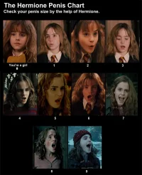 authentic-hermione-penis-size-test-22057-1287160515-12.webp