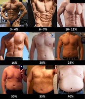 K%C3%B6rperfettanteil-Mann.jpg