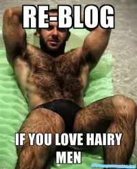 tumblr_p6vmu2YDW01w5dql9o1_500_LI.webp